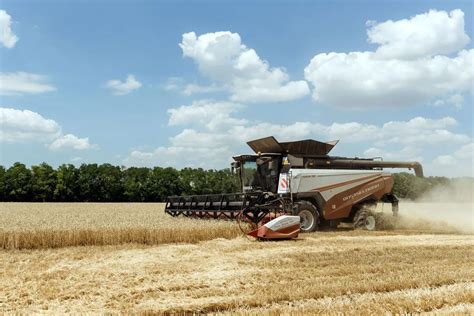 Kombajn Rostselmash Torum z szerokim hederem podczas zbioru