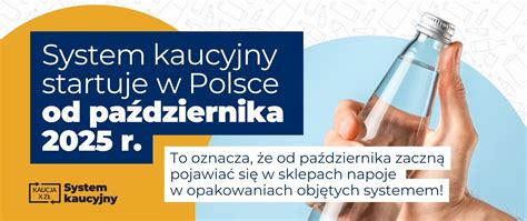 infografika przedstawiająca obowiązki producenta w systemie krajowym (znak B, deklaracja, kontrola)