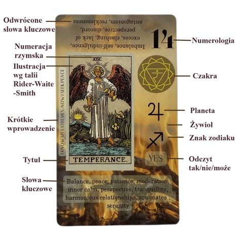 infografika z wyjaśnieniem znaczeń 
