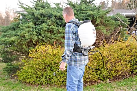 Thematic photo of a person using a petrol backpack sprayer in a garden or orchard