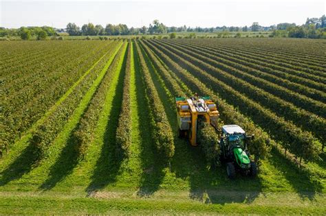 Zróżnicowanie ciągników w segmencie budżetowym