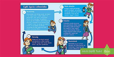 Infografika przedstawiająca etapy szkolenia: od teorii, przez zajęcia praktyczne na placu manewrowym, aż po egzamin państwowy