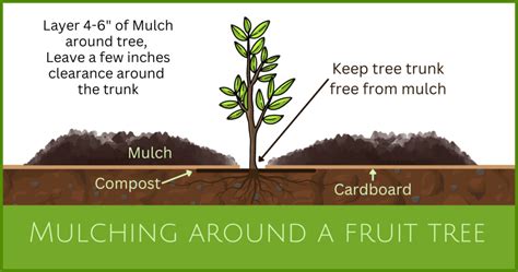Graphic explaining mulching function in lawnmowers