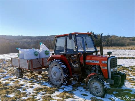 zdjęcie ciągnika Massey Ferguson 255 z podpiętym siewnikiem