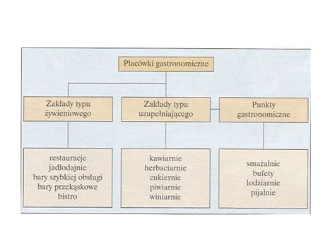 zdjęcie różnych typów sadzarek: ręcznej, mechanicznej wielorzędowej, karuzelowej