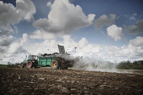 Nowoczesny rozrzutnik nawozów organicznych pracujący na polu