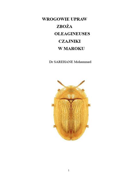 zdjęcie różnych szkodników upraw zniszczonych przez insektycyd