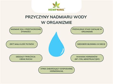 infografika przedstawiająca wpływ niedoboru i nadmiaru wody na truskawki