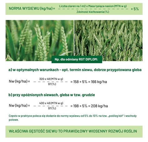 Wzór siewu GEOSEED (rombowy/równoległy)