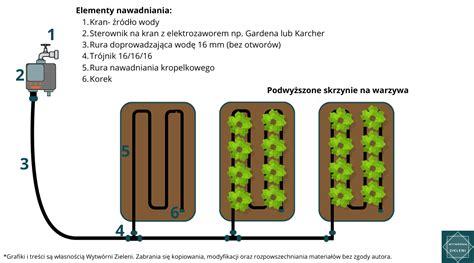 Schemat przedstawiający pracę koparki łańcuchowej przy układaniu systemu nawadniania