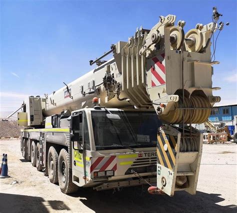 Zdjęcie żurawia TEREX AC350/6 podczas przenoszenia drzewa