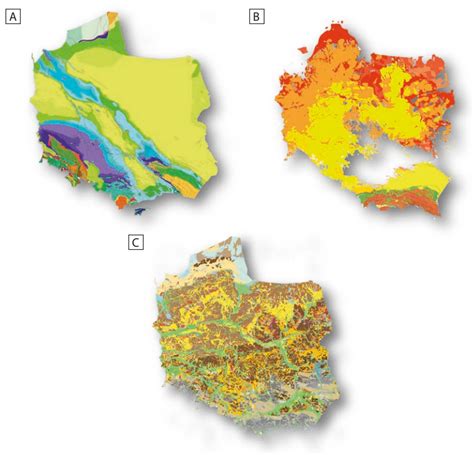 Mapa geologiczna i schemat odkrywki Bełchatów prezentujący strukturę pokładów węgla
