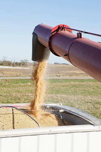 Photo of grain being offloaded from a truck at a facility, with a symbolic overlay of financial fraud