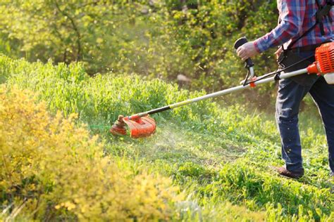 Thematic photo of a person operating a wheeled string trimmer on an overgrown, uneven garden path