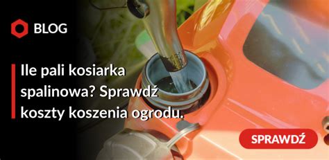 schemat porównujący roczne koszty koszenia małego i dużego ogrodu z uwzględnieniem paliwa i serwisu