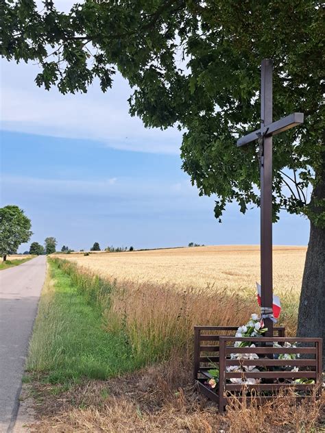 zdjęcie krzyża stojącego przy drodze w miejscu zdarzeń w Naborowie