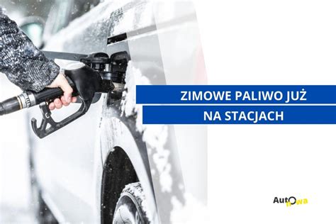 paliwo zimowe i letnie w niskich temperaturach