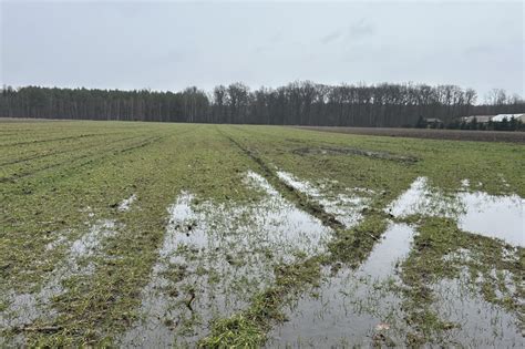 Zagęszczona gleba z zastoiskami wodnymi - problem i rozwiązanie