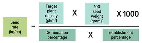 Infographic explaining calculation of seeding rate based on germination capacity