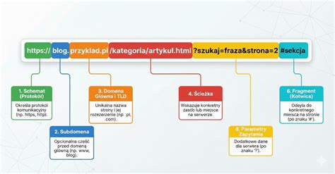 Infografika przedstawiająca budowę minikoparki i jej główne elementy