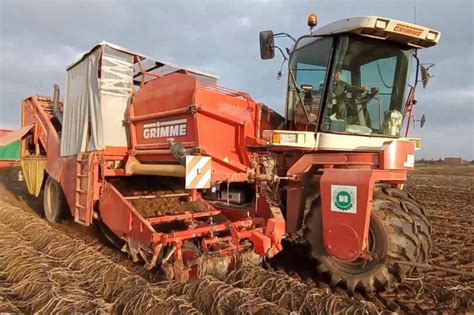 Kombajn Grimme Tectron 415 w akcji