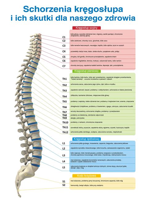 Infografika przedstawiająca negatywne skutki siedzącej pozycji na kręgosłup