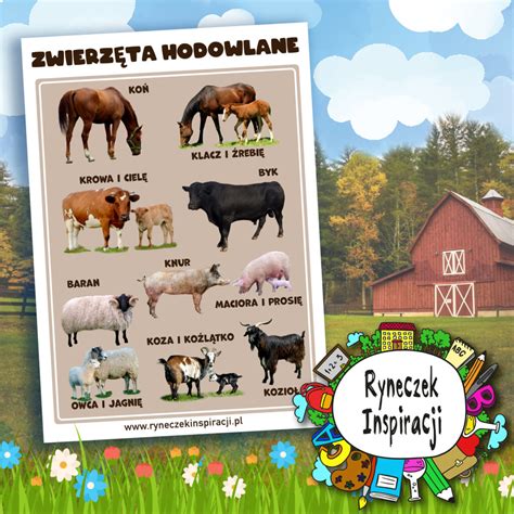 infografika przedstawiająca różne uprawy i zwierzęta hodowlane w Minecraft