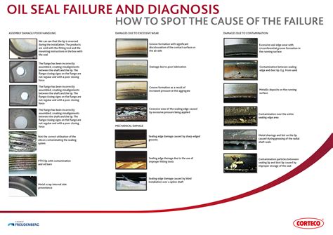 Infographic showing common causes of seal failure (wear, damage, improper installation)