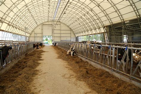 przykładowa obora w hali łukowej