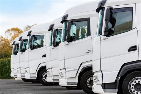 Zdjęcie przedstawiające flotę pojazdów firmy transportowej PHU Piotr Zdybel