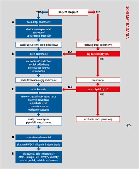 schemat przedstawiający zatrzymany zestaw drogowy na Białorusi z widocznymi opłatami parkingowymi