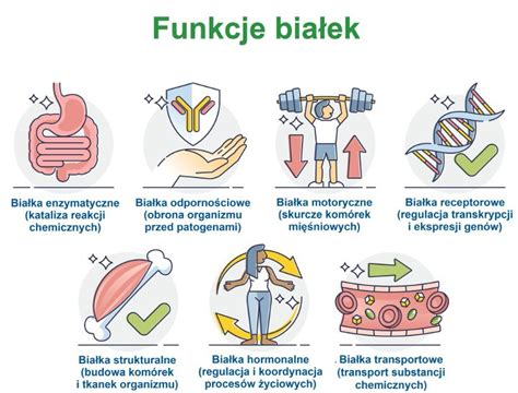 Infografika przedstawiająca funkcje Fendt CargoProfi z Varioterminal