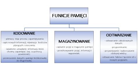 infografika przedstawiająca funkcje 4INONE