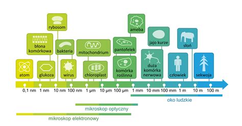 Infografika przedstawiająca porównanie wielkości i zastosowania różnych typów opryskiwaczy