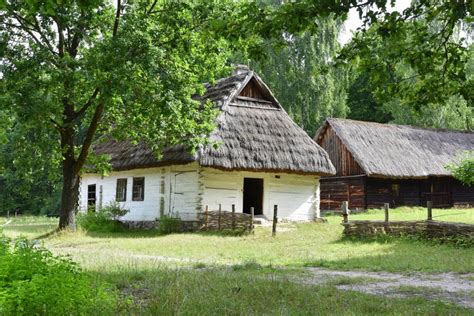 Zdjęcie ciągnika z Muzeum Wsi Radomskiej
