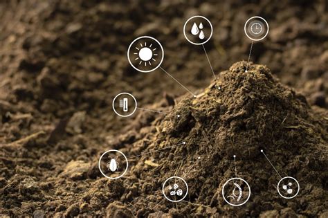 Schemat działania Smart Soil Technology w Optimer