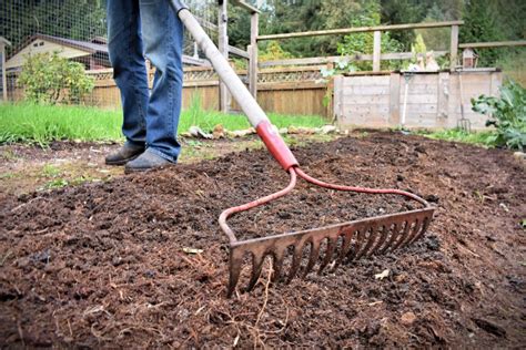 Thematic photo of a glebogryzarka in action preparing garden soil