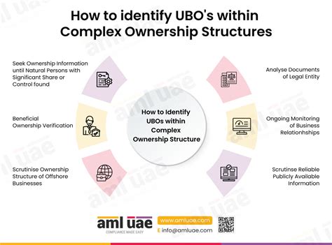 Graphic illustrating the complex ownership structure attempts and legal blocks regarding Motor Sich.