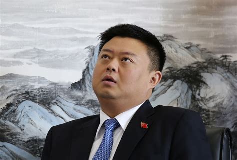 Portrait photo of Wang Jing, a Chinese billionaire businessman.
