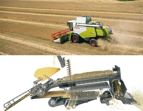 Schemat systemu omłotu APS w kombajnie Claas Tucano