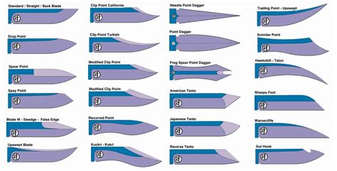 Infographic showing different types of tiller blades and their dimensions