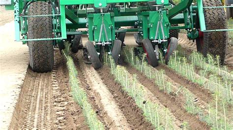 The Startlas forest transplanter at work in a forest, planting seedlings