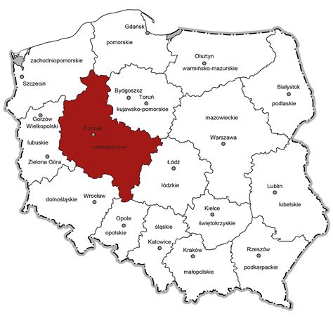Mapa Sulechowa z zaznaczonym obszarem działania firm budowlanych