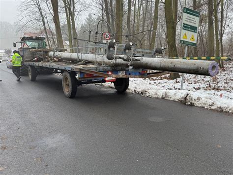 Zdjęcie dużej choinki transportowanej na naczepie, zabezpieczonej linami