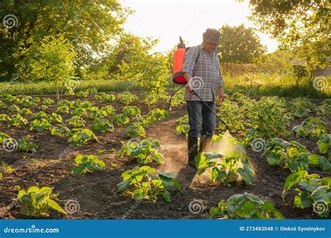 Thematic photo of a backpack sprayer working in a garden or field.