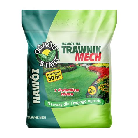 zdjęcie zdrowego, gęstego trawnika bez mchu