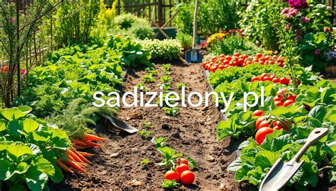 Zdjęcie obfitych, zdrowych warzyw w ogrodzie