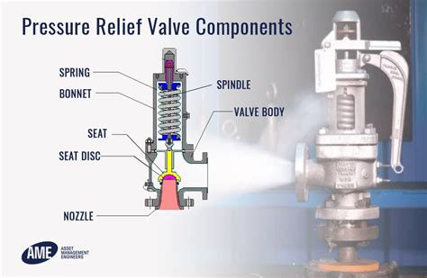 Infographic showing the internal components of a pressure sprayer, highlighting the tank, pump, safety valve, and lance