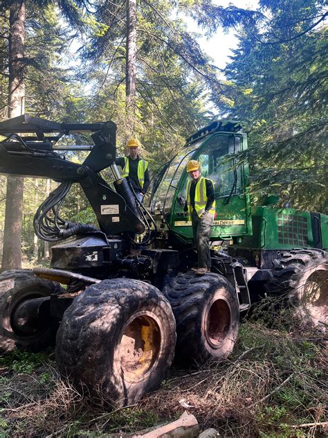 Ilustracja harwestera Komatsu 911 w akcji, prezentująca jego zwinność i siłę w warunkach leśnych.
