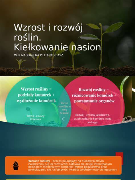 infografika przedstawiająca wpływ równomiernego nawożenia na wzrost roślin